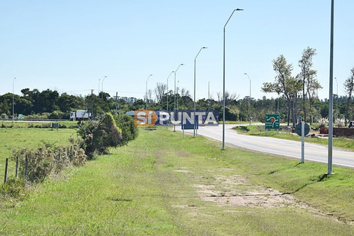 Imagen 19 de 19 de Chacra San Carlos Ruta 9