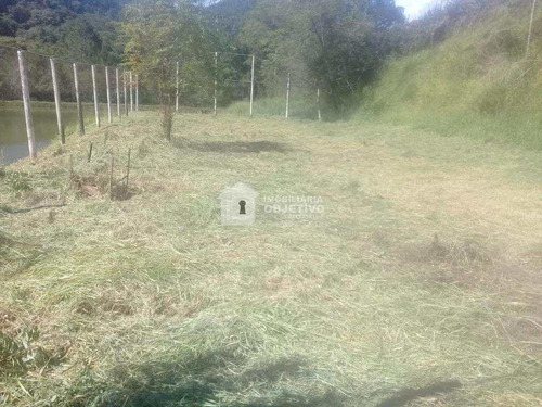 Imagem 21 de 30 de Chácara Com 4 Dorms, São Lourenço, São Lourenço Da Serra - R$ 900 Mil, Cod: 4281 - V4281
