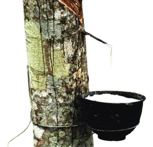 Latex Natural Liquido 3.7 Kg - Unidad a $104000