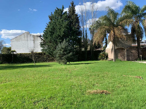 Imagen 2 de 6 de Venta Lote 400m Parquizado Vivienda Villa De Mayo