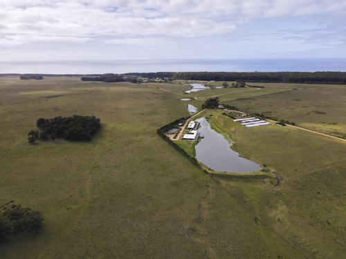 Imagen 18 de 30 de Terreno Lote En Venta Ubicado En Playa Brava, Punta Del Este, Punta Del Este / Maldonado