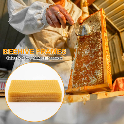 30 Hojas De Base De Cera De Abeja Con Forma De Panal De Abej