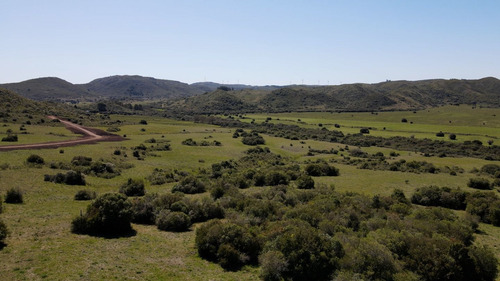 Imagen 6 de 15 de Chacra Campo En Venta, Lavalleja, Aguas Blancas, Fraccionami (ref: Atm-6842)