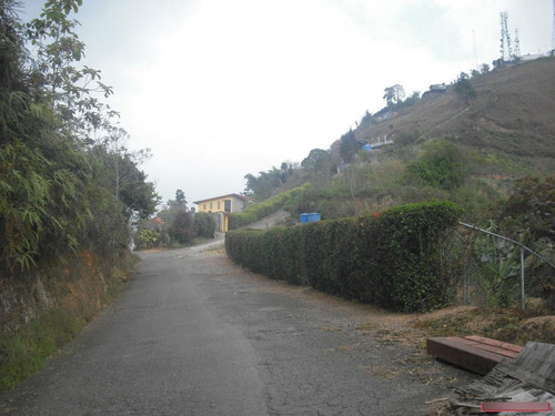 Imagen 3 de 16 de Terrenos En Venta