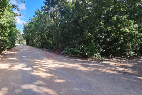 2 Terrenos Juntos 430 M2 Ideal Para Invertir En Cancún, Álamos