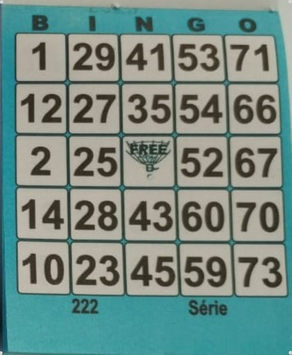 Cartela Bingo 1 Bloco Com 100 Folhas. 8x10cm
