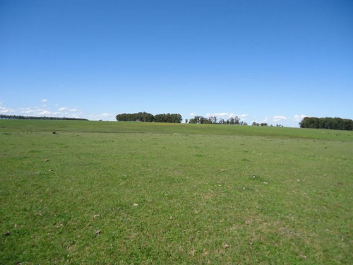 Campo En Venta En Lavalleja, 97 Hectáreas.