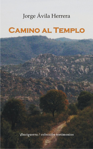 Camino Al Templo, De Jorge Ávila Herrera. Editorial Vinciguerra, Tapa Blanda En Español, 2022