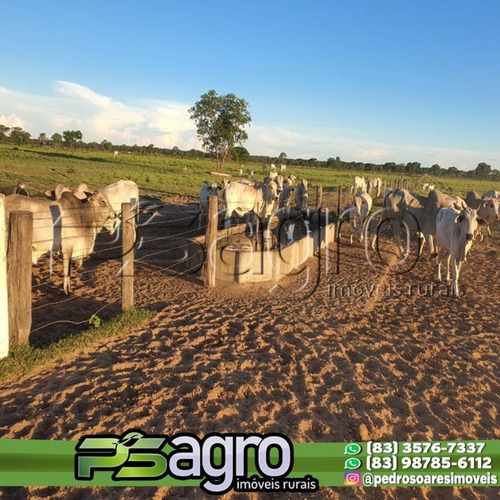 Imagem 8 de 15 de Fazenda À Venda, 150000000 M² Por R$ 300.000.000 - Centro - Mato Grosso Do Sul - Fa0249