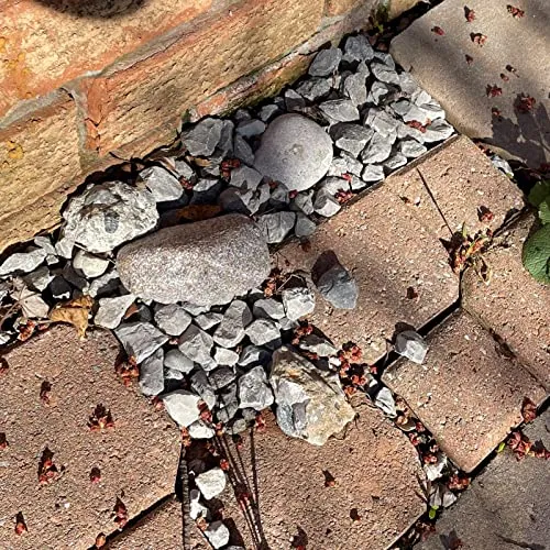Pangea Key Hider Fake Rock, Resistente A La Intemperie Y Seg