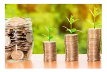 Comprar Vinilo 20x30cm Dinero Monedas Crecimiento Finanzas Money
