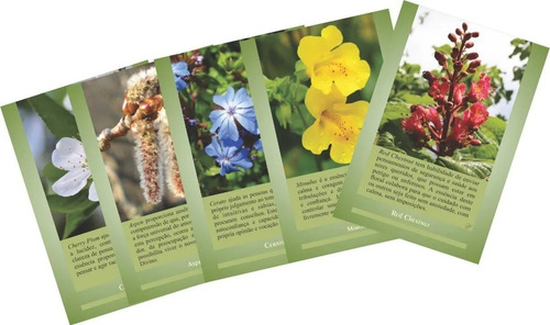 Florais De Bach - Conjunto 40 Cartas Cartões Para Consulta