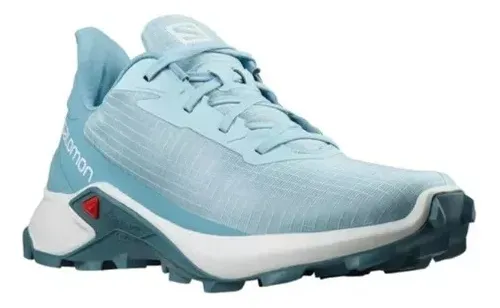 Salomon alphacross sale