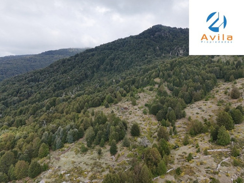 Pucon Sector Huampoe, Loteo Parcelas De 5.000m2 Cod.vtap061