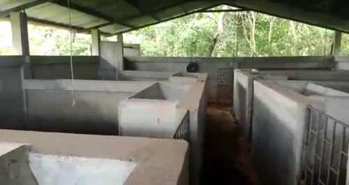 Imagen 3 de 12 de Venta Hermosa Finca En El Junco Estado Tachira