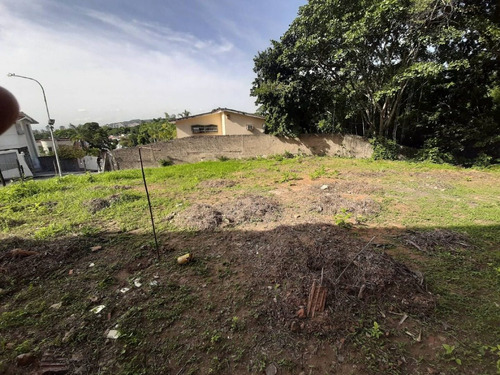 Imagen 4 de 7 de Terreno En Venta En Prebo Ii Cód 451765 María M López