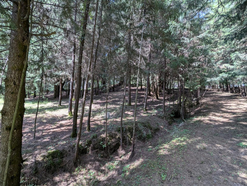 Terreno En Venta En Tres Marías