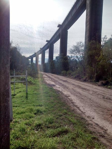 Imagen 11 de 11 de 9,70 Has De Isla, Con Acceso Vehicular Y Costa Al Parana Guazu