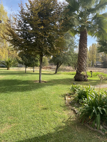 Arriendo Parcela 5.100m2 + Casa 370m2 Multifuncional Batuco