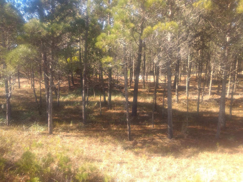 Imagen 7 de 8 de Lote Interno En Bo. Privado Villa Robles