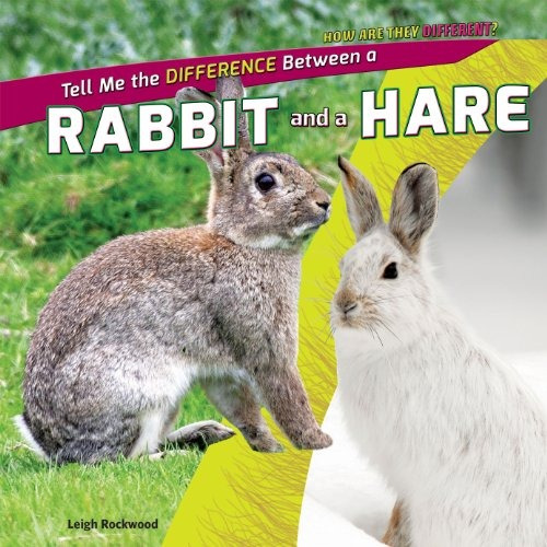 Tell Me The Difference Between A Rabbit And A Hare (how Are 