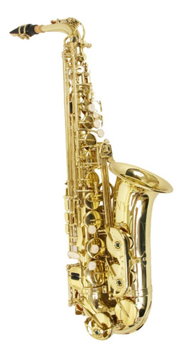 Saxofone Alto Mib Laqueado Com Estojo Boquilha Ny As200l Nfe