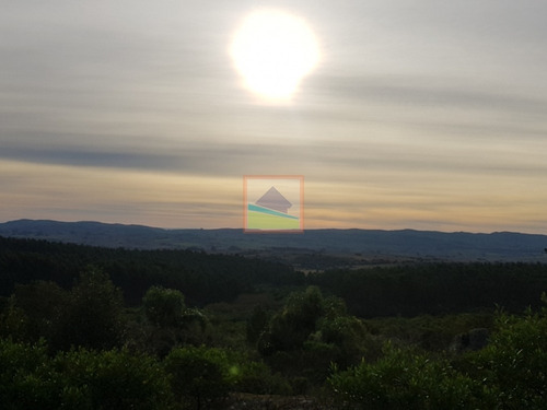 Imagen 12 de 14 de Chacra 10 Hás En Garzón