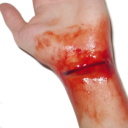 Imagem 3 de 7 de Kit Do Terror Slug Maquiagem Sangue Falso Festas Fantasias