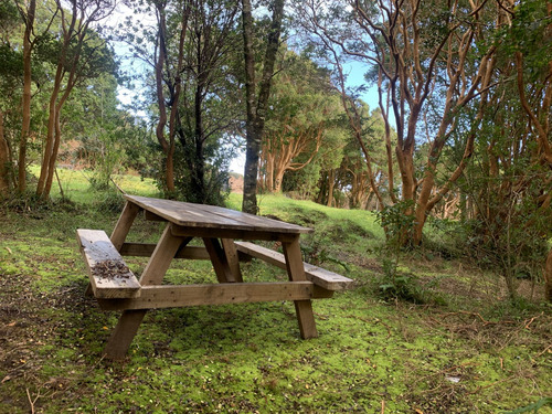 Precioso Camping En Cucao Con Acceso A La Playa