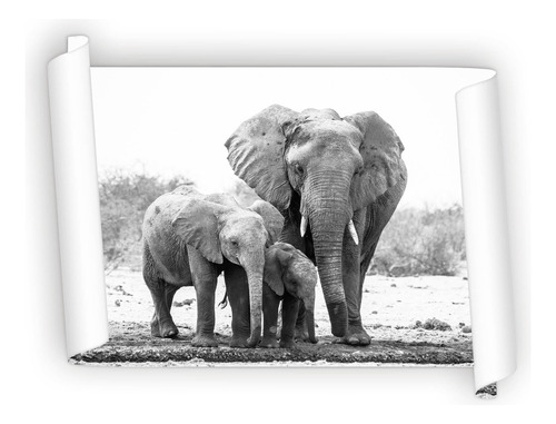 Poster Elefante Con Sus Crias 60x90cm