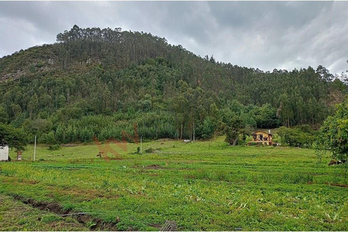 Espectacular Finca Productiva En La Vereda Puente Piedra, Madrid, Cundinamarca