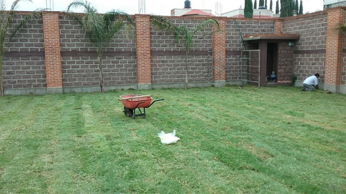 Pasto En Rollo