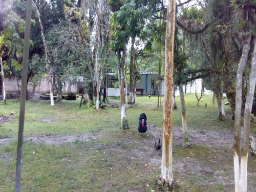 Chácara Com Escritura Em Itanhaém Ótima Oportunidade. - 1580 - 32597640