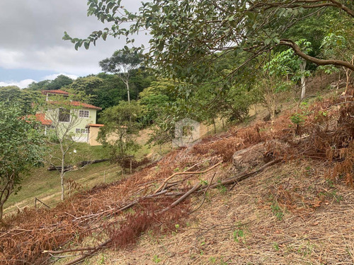 Imagem 2 de 7 de Sitio De 18 Hectares No Engenho Do Mato. Raridade! - Si0001