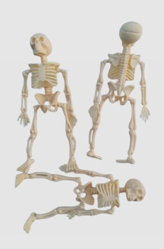 3x Esqueleto Cuerpo Humano 12 Cms Educa Deco Halloween