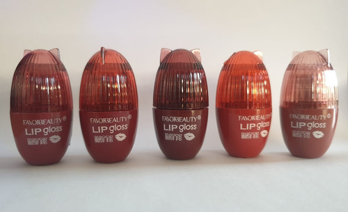 Mini Labiales Lip Gloss 5 Piezas Matte