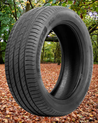 Pneu 205/55 R16 Delinte Xl Ds2 94w