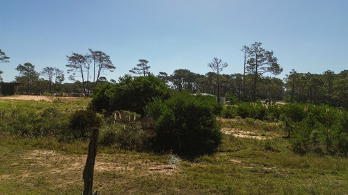 Terreno En Venta En Reserva Montoya (ref: Bpv-10362)