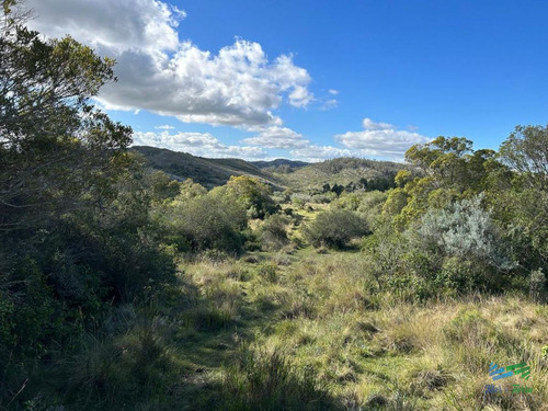 Imagen 21 de 24 de Lindo Campo Para Fraccionar, Sobre Ruta Y A Poco Mas De 1 Hora De Punta