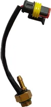 Comprar Sensor Temperatura Gas Gnv - Flauta Bico Injetor Rail Valtek