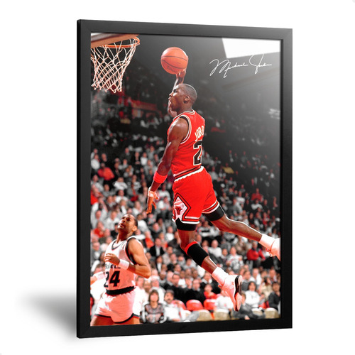 Cuadros Jordan Michael Camisetas Chicago Bulls Basquet 20x30