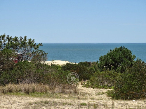 Ohana En Punta Del Diablo
