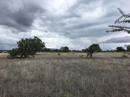 Terreno En Zumpango, Edo. De Méx. Sup. 70 Hectáreas.