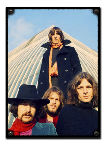 #397 - Cuadro Vintage 30 X 40 - Pink Floyd Rock Música