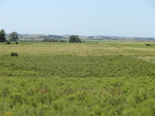 Campo En Venta En Las Cañas