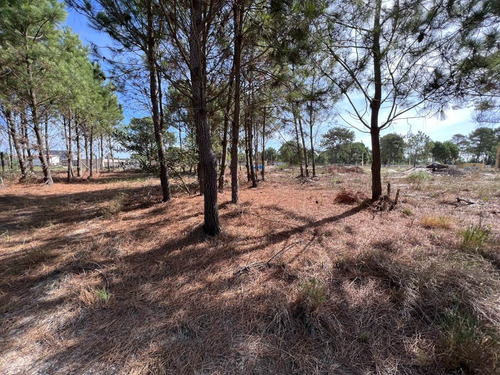 Imagen 3 de 12 de Venta Terreno Lomas De Solymar Canelones