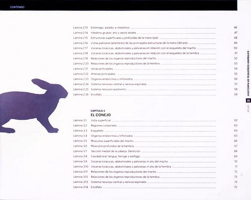 Atlas De Anatomía De Pequeños Animales, Conceptos Básicos