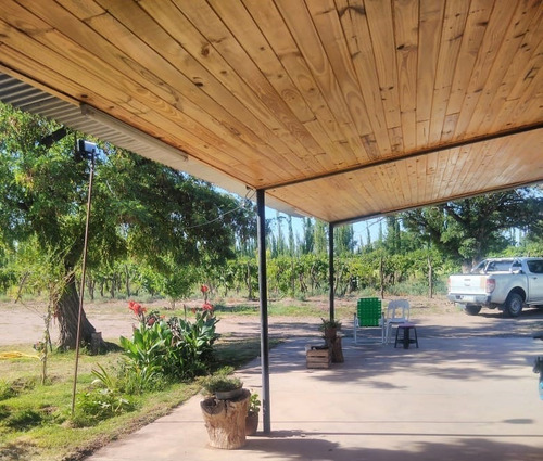 Imagen 7 de 14 de Finca 10 Has. G Alvear Mendoza. 100% En Producción. Excelente Casa Amplia. Podría Considerar Alguna Permuta Que No Sea Inmueble. Precio Conversable.
