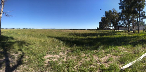 Terreno En Venta Col Hidalgo, Durango, Dgo. Mexico