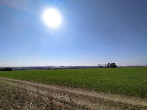 Imagen 5 de 6 de Campo En Venta En Victoria